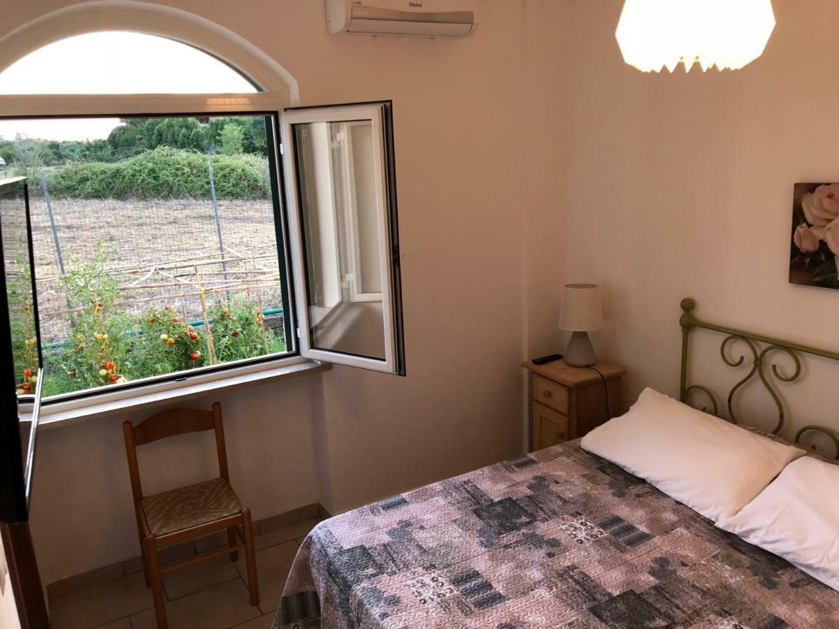 Agriturismo "Lo Zafferano" Aprilia Eksteriør bilde